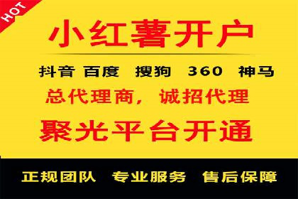 顶级SEM服务公司案例解析